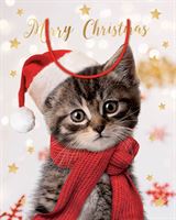 Large Gift Bag - Christmas Kitten / Cat