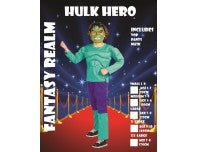 Hulk Hero KIDS Costume