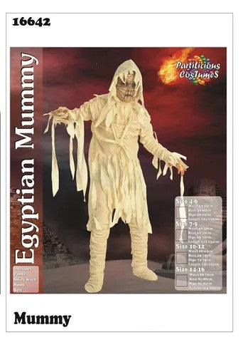 Egyptian Mummy KIDS Costume